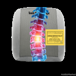 gray lumbar